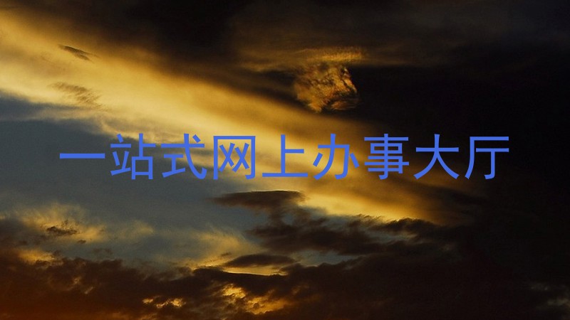 一站式网上办事大厅