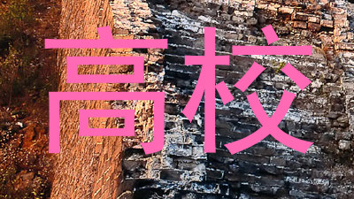 高校