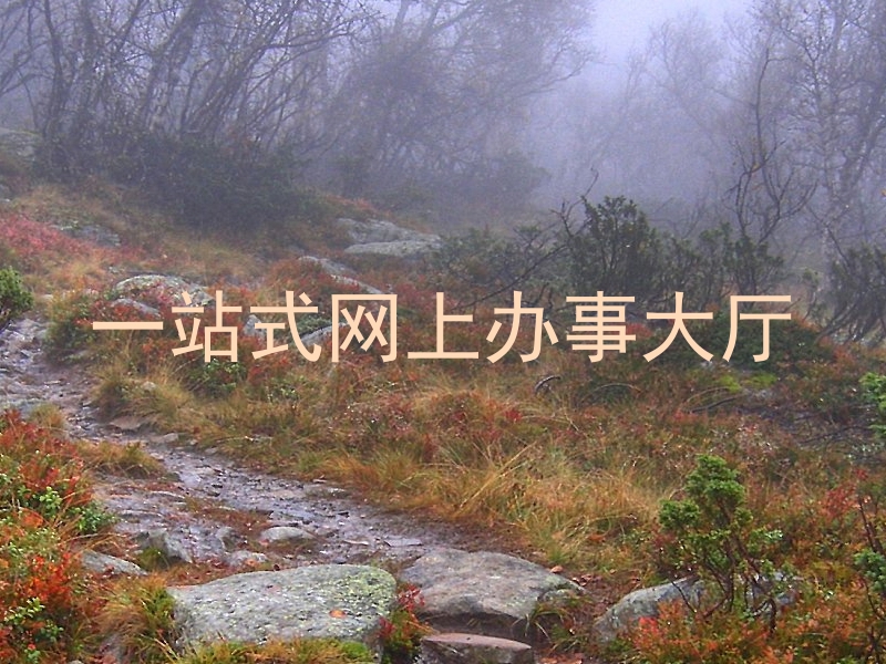 一站式网上办事大厅