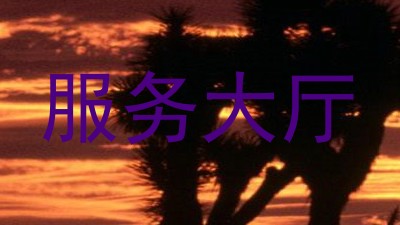 服务大厅