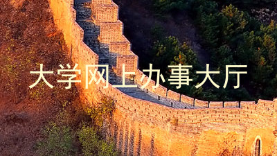 大学网上办事大厅