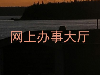 网上办事大厅