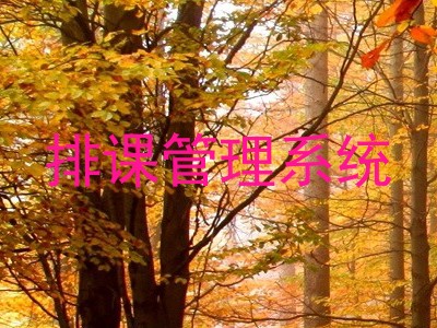 排课管理系统