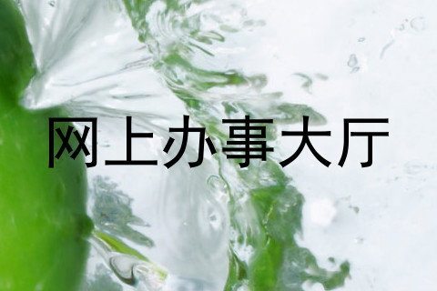 网上办事大厅