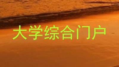 大学综合门户