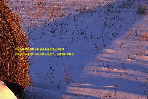 高校科研管理系统如何解决数据管理效率瓶颈
在高校信息化建设不断推进的背景下,科研管理系统的
