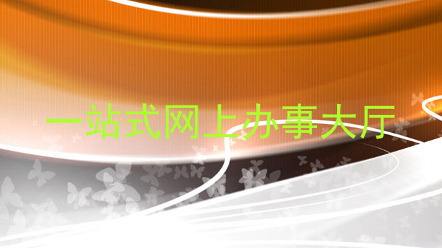 一站式网上办事大厅