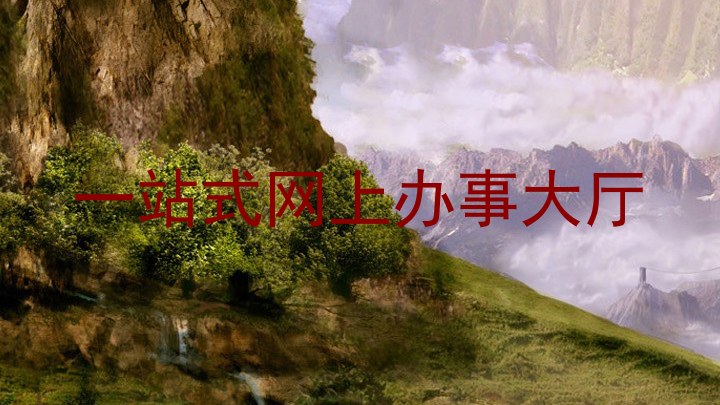 一站式网上办事大厅