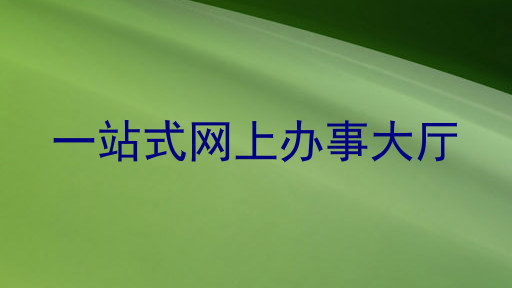 一站式网上办事大厅