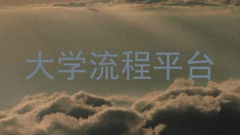 大学流程平台