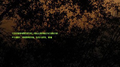 甘肃高校科研管理系统上线后反馈两极分化现象分析
**关键词:科研管理系统,信息化建设,数据