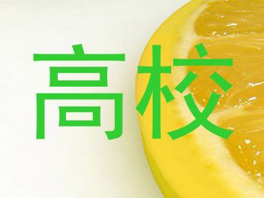 高校