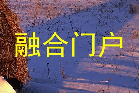 融合门户