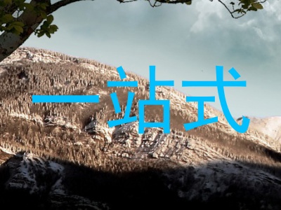 一站式