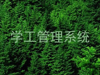 学工管理系统