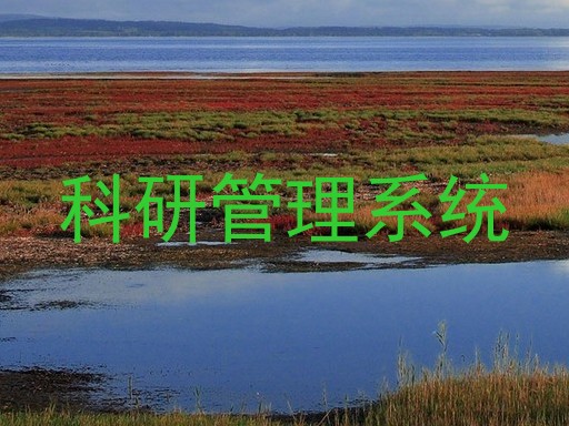 科研管理系统