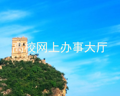 高校网上办事大厅