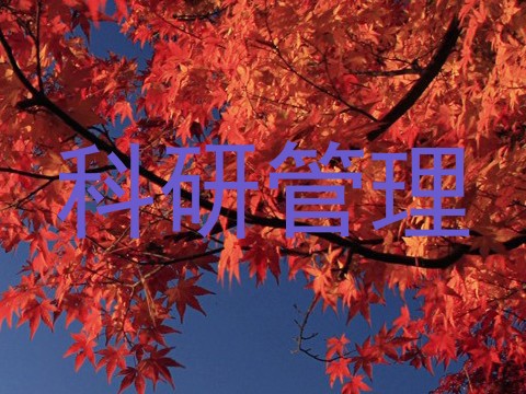 科研管理