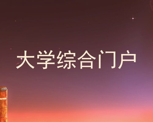 大学综合门户