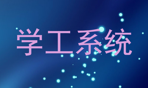 学工系统