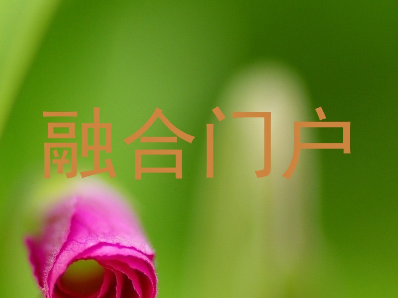 融合门户