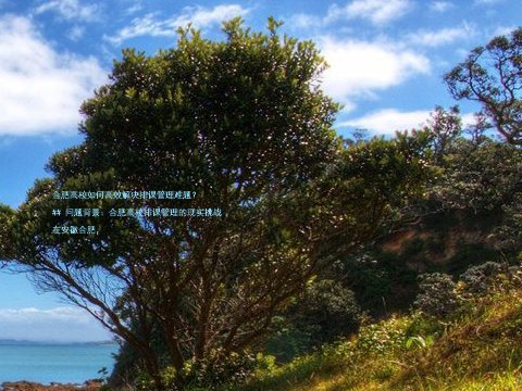 合肥高校如何高效解决排课管理难题?
## 问题背景:合肥高校排课管理的现实挑战
在安徽合肥,