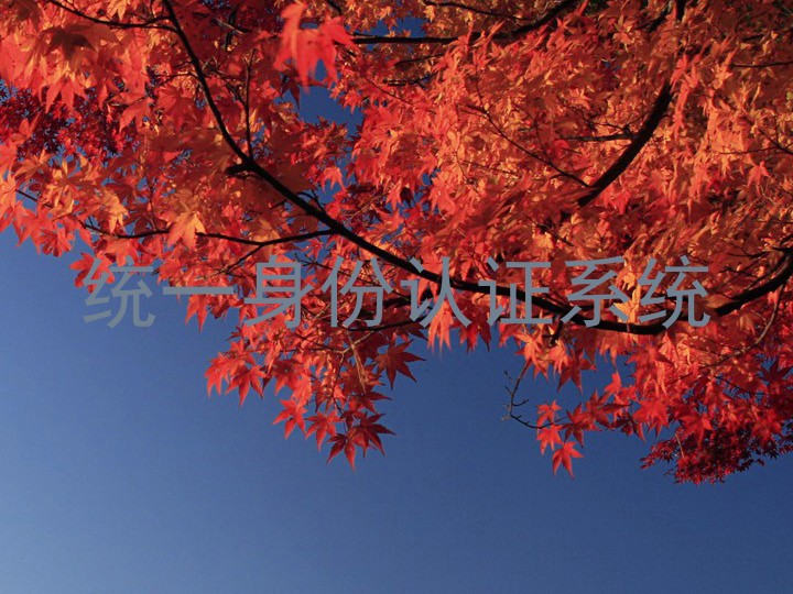 统一身份认证系统