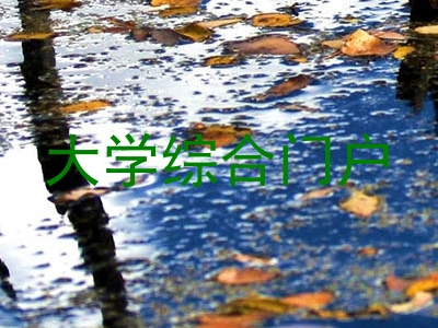 大学综合门户