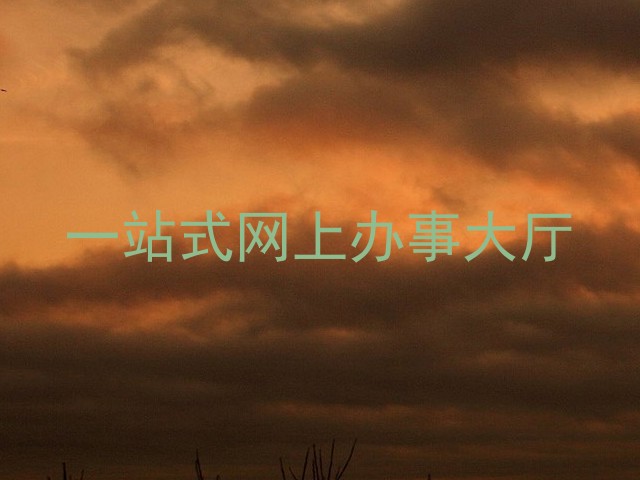 一站式网上办事大厅