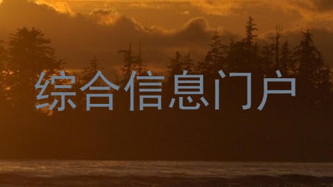 综合信息门户