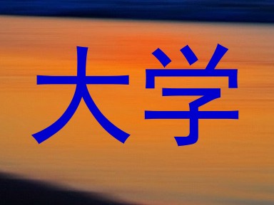 大学