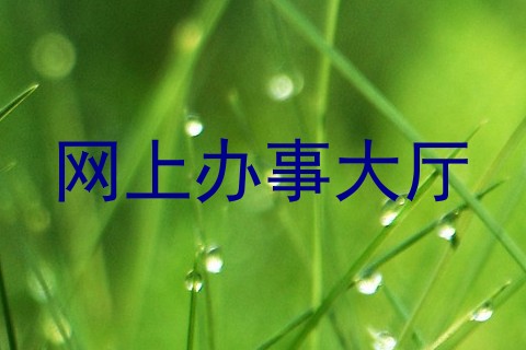 网上办事大厅