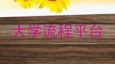 大学流程平台