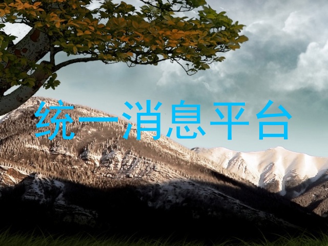 统一消息平台