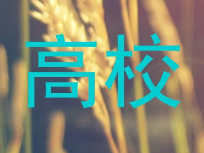 高校
