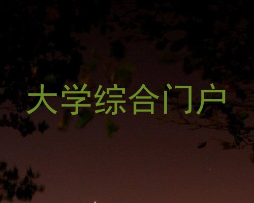 大学综合门户