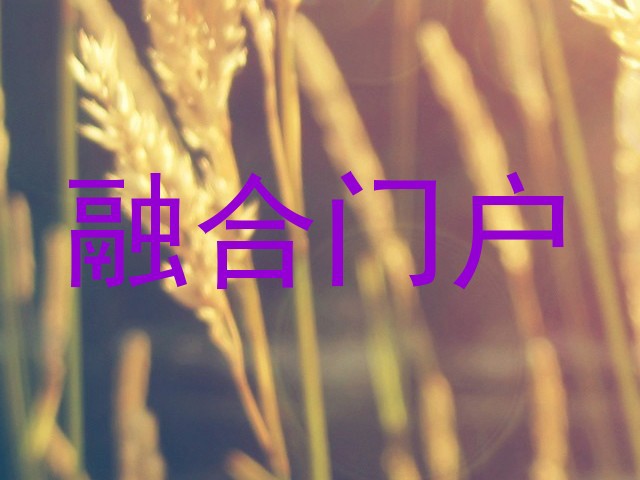 融合门户