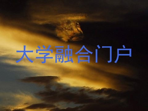 大学融合门户