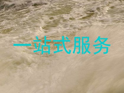 一站式服务