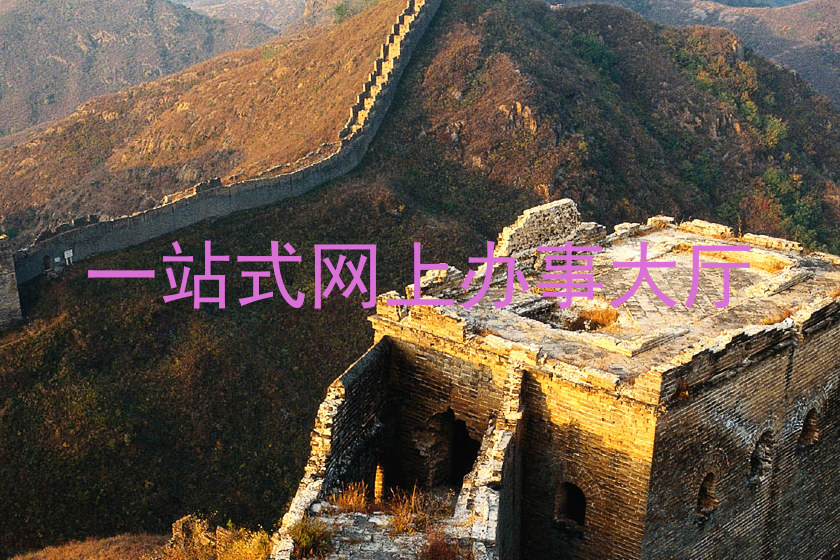 一站式网上办事大厅