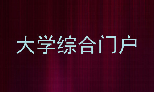 大学综合门户