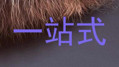一站式