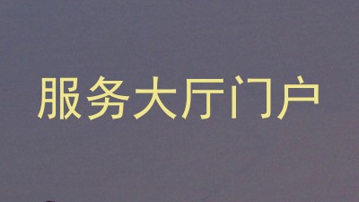 服务大厅门户