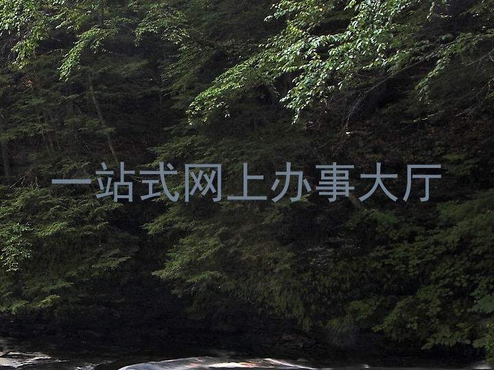 一站式网上办事大厅