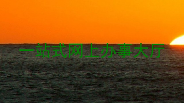 一站式网上办事大厅