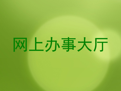 网上办事大厅