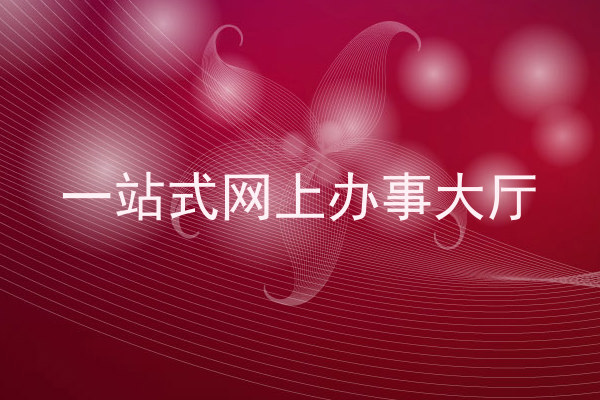 一站式网上办事大厅