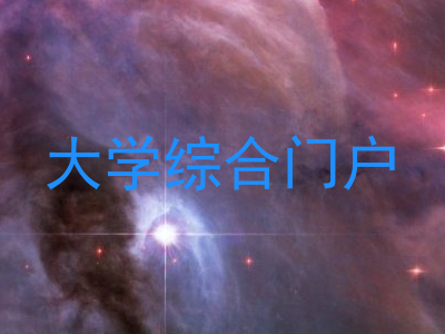 大学综合门户