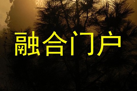 融合门户