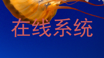 在线系统
